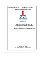 báo cáo chuyên đề thực tế luật đầu tư kinh doanh công ty tnhh luật bắc nam