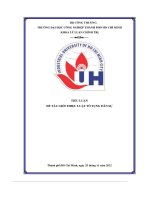 tiểu luận đề tài giới thiệu luật tố tụng dân sự