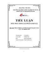 tiểu luận đề tài phát triển sản phẩm kẹo ngậm tăng lực number one