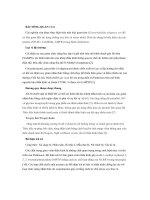 các nghiên cứu được thực hiện trên một loài giun trò