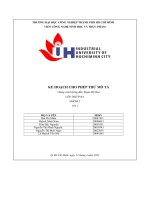 kế hoạch cho phép thử mô tả