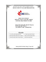 tiểu luận môn kỹ năng làm việc nhóm chủ đề hoạt động xã hội