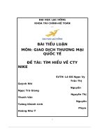 bài tiểu luận giao dịch thương mại quốc tế đề tài tìm hiểu về cty nike