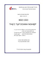 tiểu luận báo cáo thực tập doanh nghiệp cơ quan thực tập công ty cổ phần quảng cáo cổng việt nam adsplus