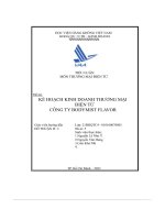 kế hoạch kinh doanh thương mại điện tử công ty bodymist flavor