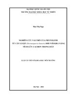Luận án tiến sĩ khoa học môi trường: Nghiên cứu vai trò của Phytolith từ cây guột (Dicranopteris linearis) đối với khả năng tích lũy cacbon trong đất