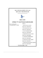 báo cáo công ty cổ phần sunhouse