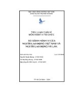 so sánh hành vi của người lao động việt nam và người lao động hà lan