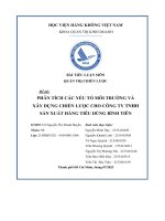 phân tích các yếu tố môi trường và xây dựng chiến lược cho công ty tnhhsản xuất hàng tiêu dùng bình tiên
