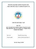 Chuyên đề thực tập: Đẩy mạnh xuất khẩu khẩu trang sang thị trường Mỹ của công ty TNHH Công nghệ Tecomen