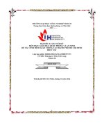 tiểu luận đề tài tình hình giao thông tại thành phố hồ chí minhhiện nay