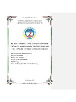 Chuyên đề thực tập: Đề xuất phương án xuất khẩu sản phẩm trứng gà Devi sang thị trường Nhật Bản của Công ty cổ phần tập đoàn Dabaco