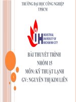 tiểu luận dàn lạnh kiểu tấm bản