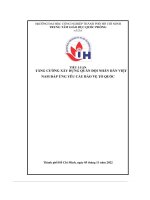 tiểu luận tiểu luận tăng cường xây dựng quân đội nhân dân việtnam đáp ứng yêu cầu bảo vệ tổ quốc