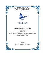 sự can thiệp của chính phủ vào thị trường xăng dầu thành phố hồ chí minh