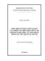 Luận án tiến sĩ hóa học: Tổng hợp cơ chất, chế tạo kít và nghiên cứu điều kiện tối ưu để nhuộm tế bào phục vụ chẩn đoán bệnh ung thư bạch cầu người