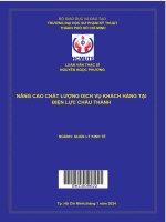 nâng cao chất lượng dịch vụ khách hàng tại điện lực châu thành