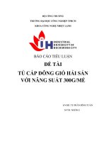 đồ án tủ cấp đông gió hải sản năng suất 300g me