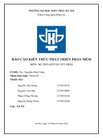 báo cáo kiến thức phát triển phần mềm môn hệ trợ giúp quyết định