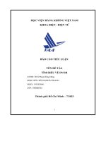 báo cáo tiểu luận tìm hiểu về dvor