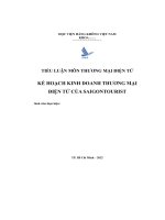 tiểu luân môn thương mại điện tử kế hoạch kinh doanh thương mại điện tử của saigontourist