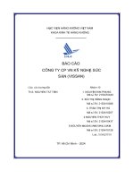 báo cáo công ty cp vn kỹ nghệ súc sản vissan