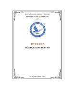 tiểu luận kinh tế vi mô phân tích đặc điểm thị trường cạnh tranh độc quyền của apple