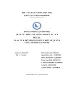 báo cáo tiểu luận môn học phân tích mô hình tổ chức chiến lược của công ty buffalo tours