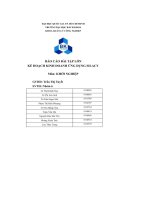 báo cáo bài tập lớn kế hoạch kinh doanh ứng dụng silacy