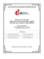 tiểu luận môn kỹ năng làm việc nhóm chủ đề dự án bữa cơm 0 đồng