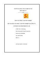 Báo Cáo Thực Tập Tốt Nghiệp Tại Công Ty Cổ Phần Giải Pháp Dịch Vụ Số.pdf