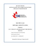 tiểu luận tiểu luận môn học kinh tế lượng chương 6 các vi phạm của mô hình hồi quy theo phương pháp ols