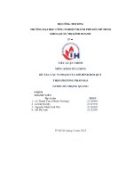 tiểu luận môn kinh tế lượng đề tài các vi phạm của mô hình hồi quytheo phương pháp ols