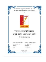 tiểu luận môn học chế biến khoáng sản đề tài quặng vàng