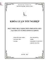 phát triển hoạt động phân phối hàng hóa tại công ty cổ phần hupuna group