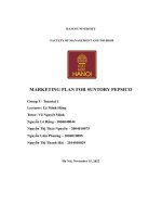 Marketing Plan For Suntory Pepsico.pdf