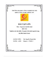 Bài Tập Lớn Đề Tài - Nghiên Cứu Tìm Hiểu Về Quản Lý Bộ Nhớ Ngoài Trong Hệ Điều Hành Linux.pdf