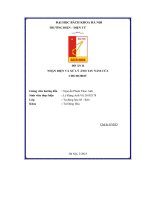 đồ án ii nhận diện và xử lý ảnh tay nắm cửa cho robot