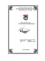 Báo Cáo Thực Tập Phân Tích Thiết Kế Hệ Thống Thông Tin Tại Công Ty Cổ Phần Công Nghệ Windsoft Việt Nam.pdf