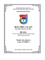 Bài Tiểu Luận.pdf