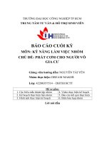 tiểu luận môn kỹ năng làm việc nhóm chủ đề phát cơm cho người vôgia cư