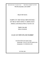 nghiên cứu một số đặc điểm sinh học kỹ thuật nhân giống và trồng xoay dialium cochinchiensis pierre tại gia lai