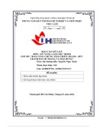 tiểu luận chủ đề bảo tàng chứng tích chiến tranh bứctranh đầy bi tráng và hào hùng