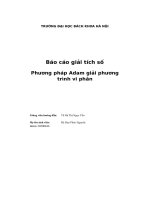 báo cáo giải tích số phương pháp adam giải phương trình vi phân
