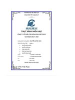 Thực Hành Môn Học Công Ty Cổ Phần Tập Đoàn Hòa Phát (Hpg) Giai Đoạn 2018 - 2020.Pdf