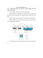Báo Cáo Môn Học Vlsi.pdf