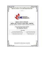 tiểu luận môn kỹ năng làm việc nhómchủ đề tìm hiểu nét đẹp văn hóa núi bà đen tây ninh