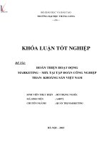 hoàn thiện hoạt động marketing mix tại tập đoàn công nghiệp than khoáng sản việt nam