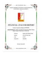 financial analysis report requirement analyze the financial statement of binh thanh import export production trade jsc