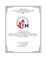 tiểu luận ứng dụng lý thuyết marketing để phân tích cáchoạt động marketing của sản phẩm xe máy điện grendelcủa công ty grendel